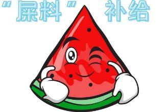 动漫吃瓜现场在线观看免费,免费在线观看，畅享二次元盛宴  第3张